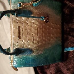 Brahmin handbag